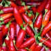 Spicy pepper weight loss